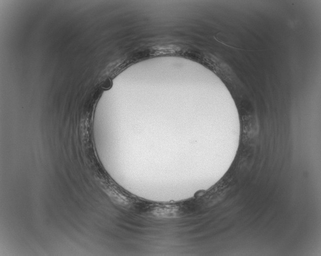 X0000080780369200701051334