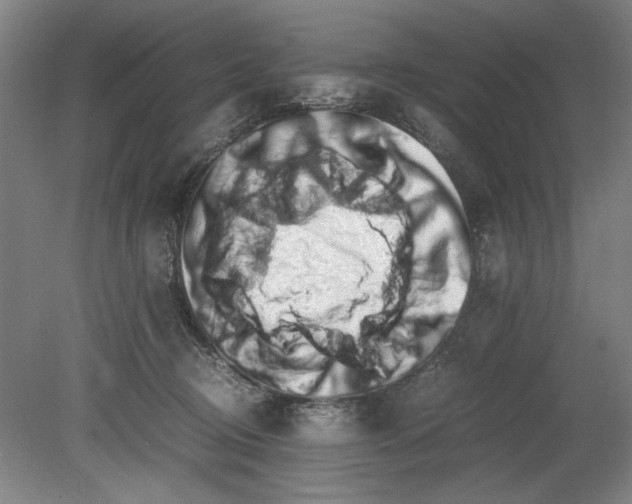 X0000080780370200701051334