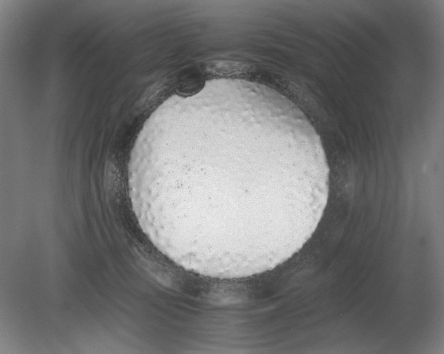 X0000080780371200701051334