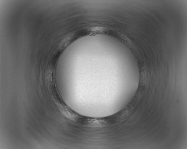 X0000080780379200701051334