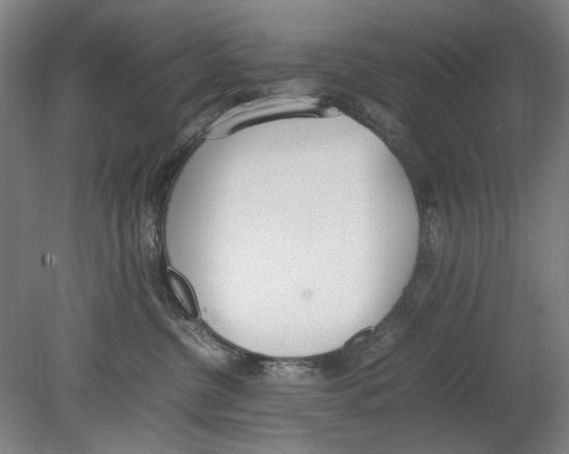 X0000080780380200701051334