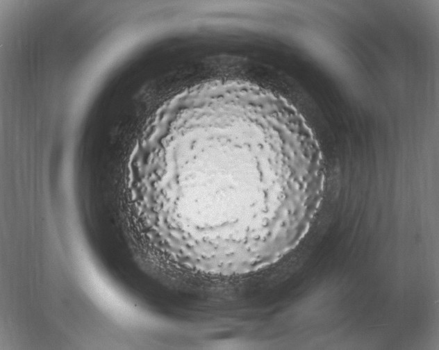 X0000080780383200701051334