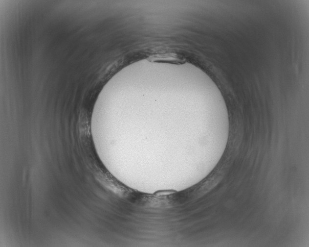 X0000080780384200701051334