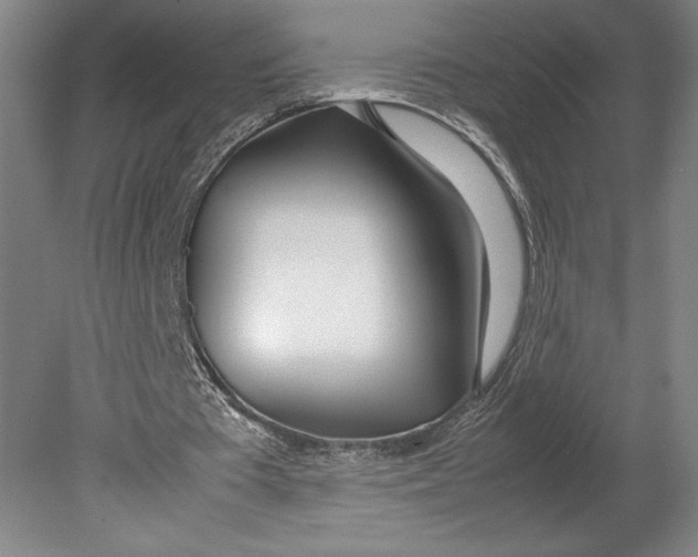 X0000080780385200701051333