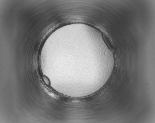 X0000080780390200701051333
