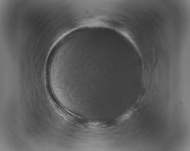 X0000080780391200701051333