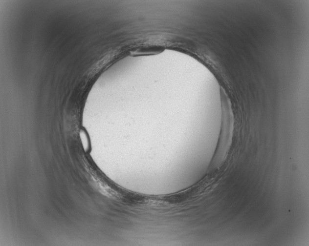 X0000080780393200701051333