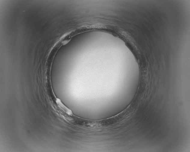X0000080780395200701051333