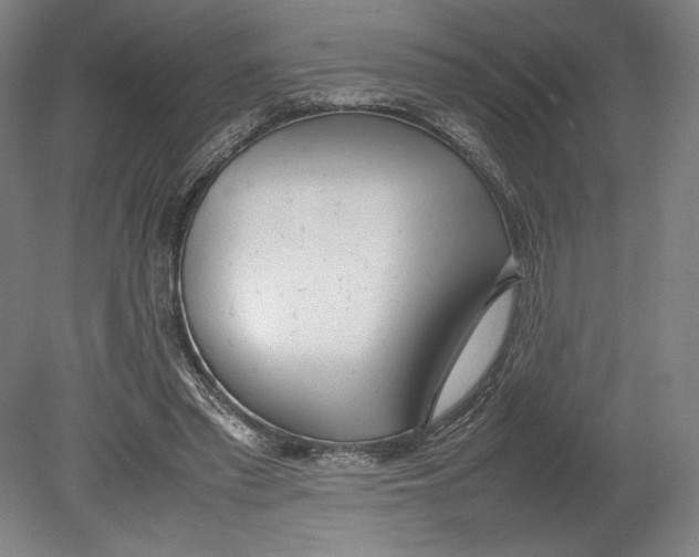 X0000080780397200701051333