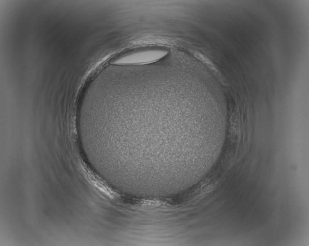 X0000080780399200701051333