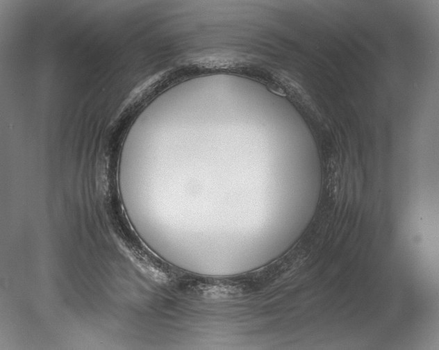 X0000080780400200701051333
