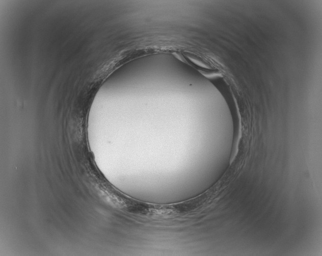 X0000080780401200701051333