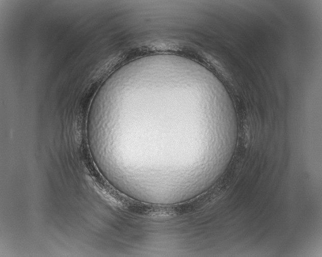 X0000080780402200701051333