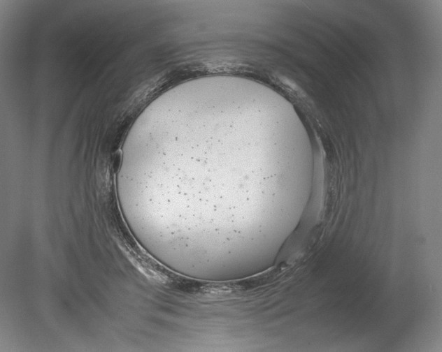 X0000080780405200701051333