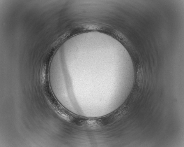 X0000080780406200701051333