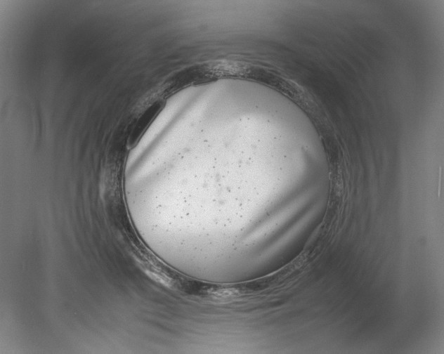 X0000080780409200701051333