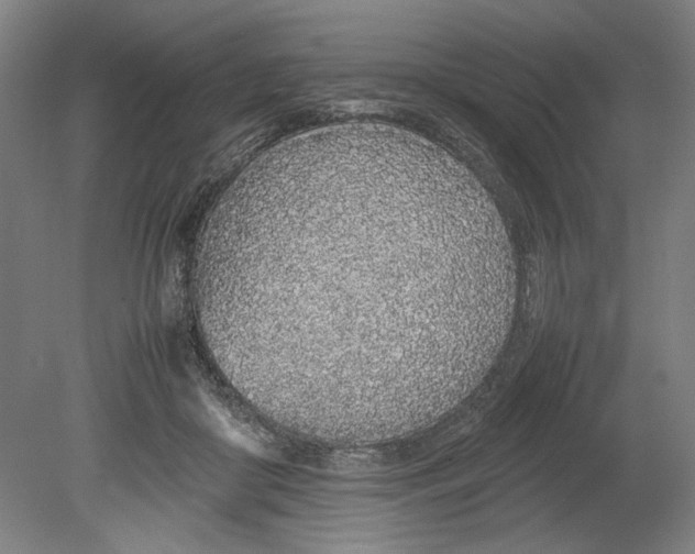 X0000080780410200701051333
