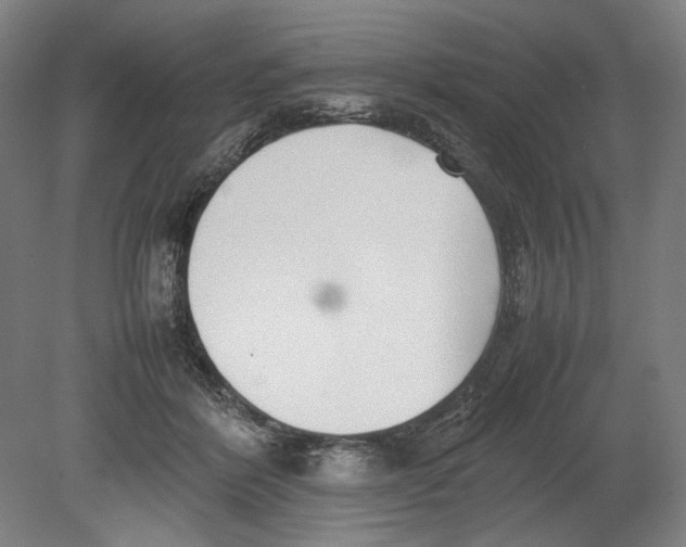X0000080780412200701051333