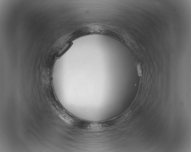 X0000080780413200701051333
