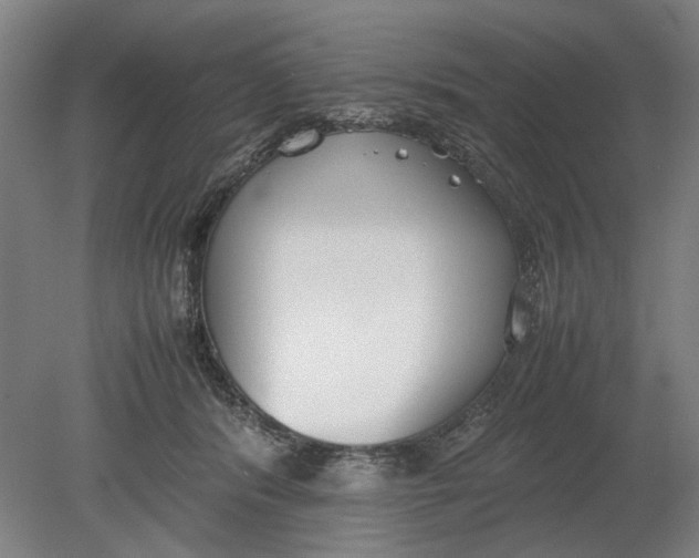 X0000080780416200701051332