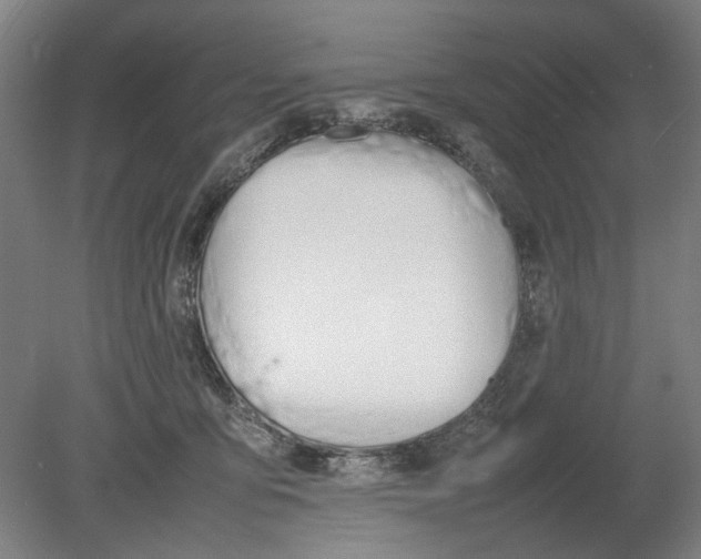X0000080780419200701051332
