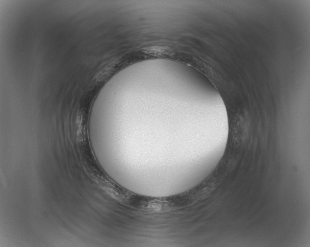 X0000080780420200701051332