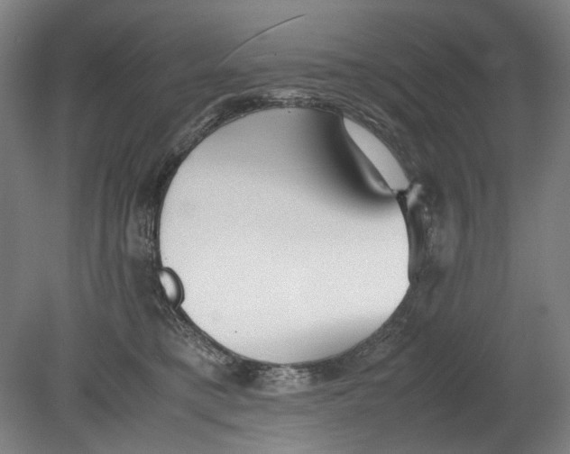 X0000080780421200701051332