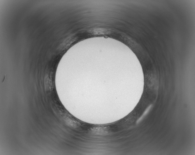X0000080780422200701051332