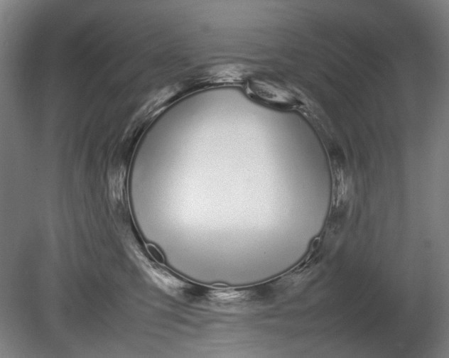 X0000080780423200701051332