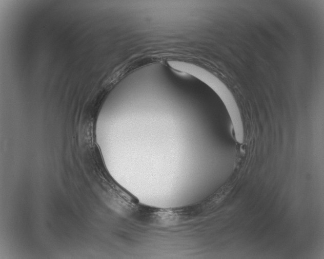 X0000080780425200701051332