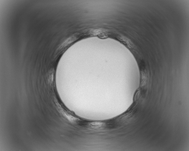 X0000080780427200701051332