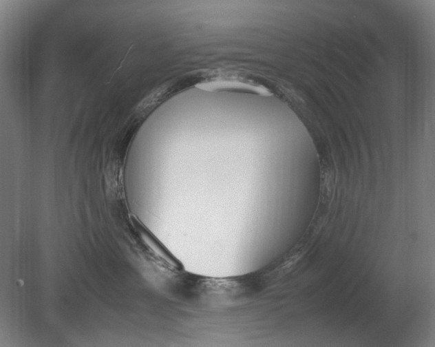 X0000080780429200701051332