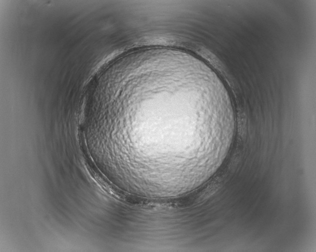 X0000080780434200701051331