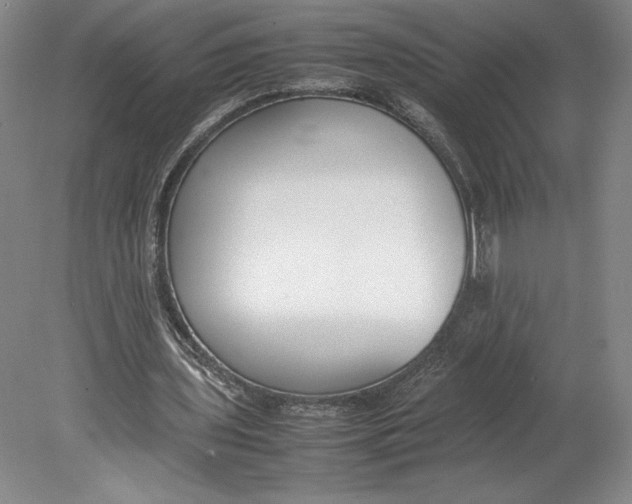 X0000080780435200701051331