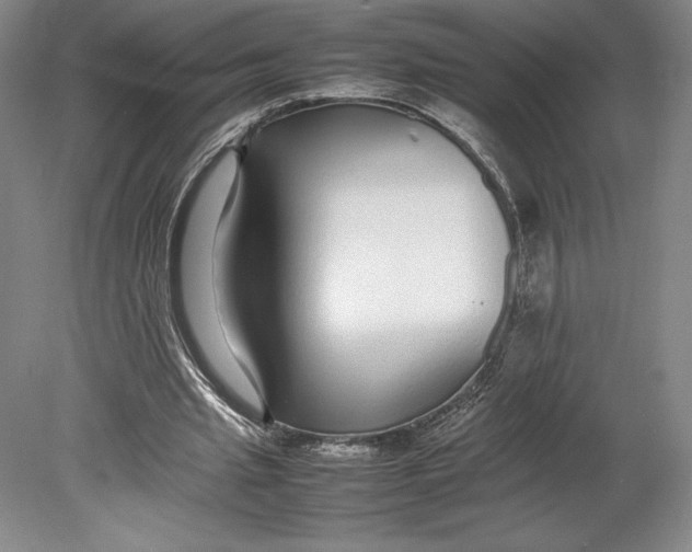 X0000080780437200701051331