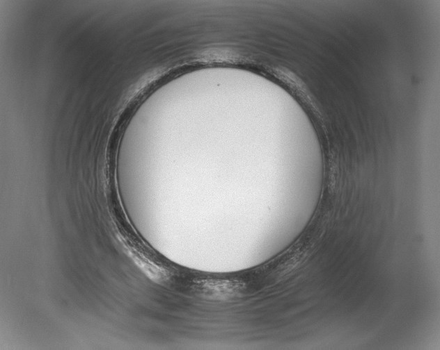 X0000080780439200701051331