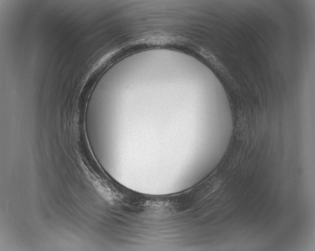 X0000080780440200701051332