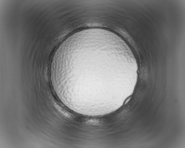 X0000080780441200701051332