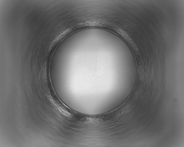 X0000080780442200701051332