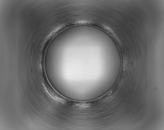 X0000080780443200701051332