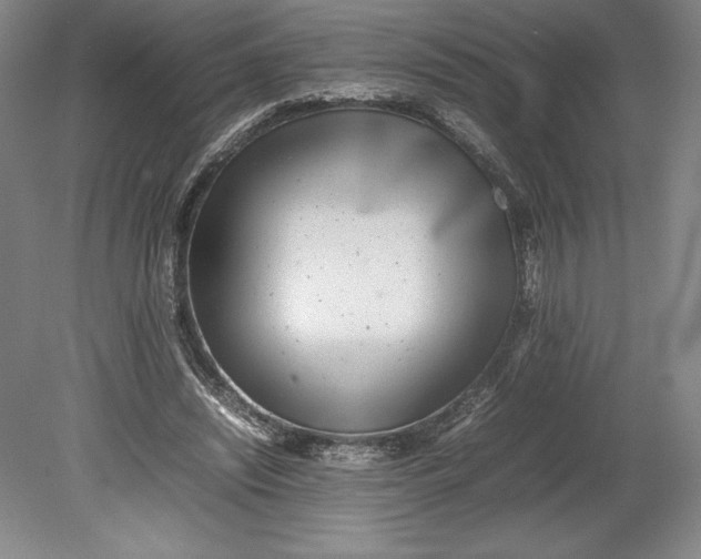 X0000080780444200701051332