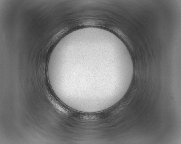 X0000080780445200701051332