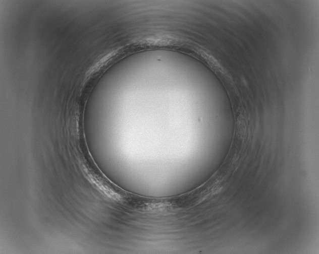 X0000080780446200701051332