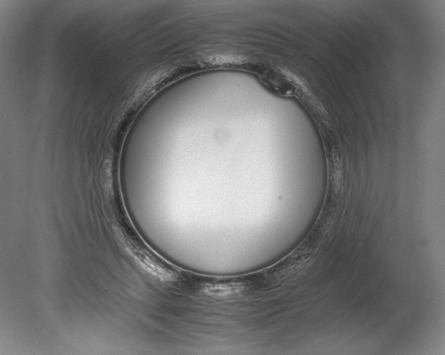 X0000080780447200701051332