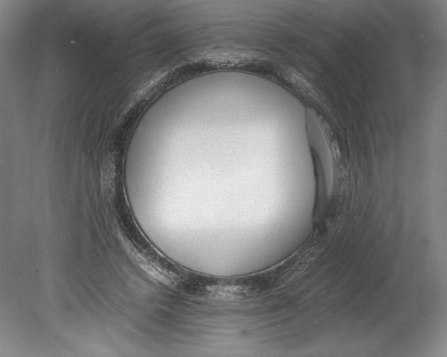 X0000080780448200701051332