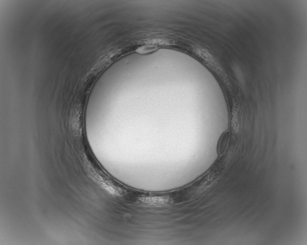 X0000080780449200701051332