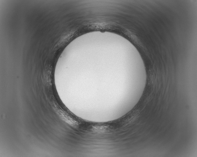 X0000080780450200701051332