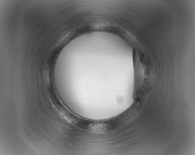 X0000080780452200701051332