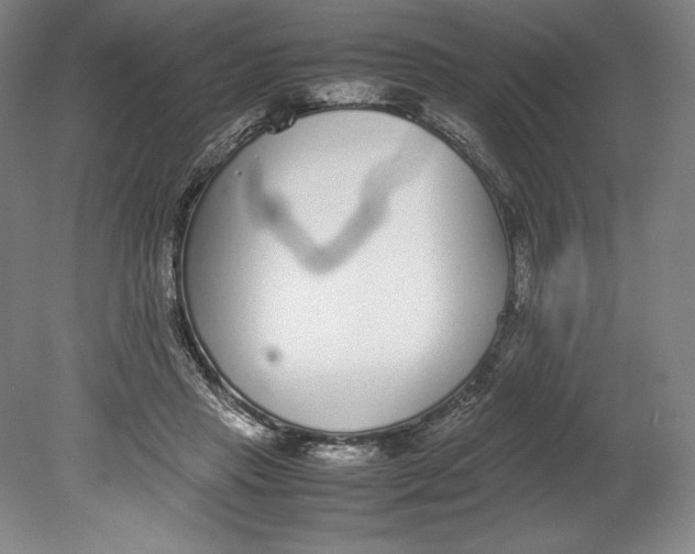 X0000080780453200701051332