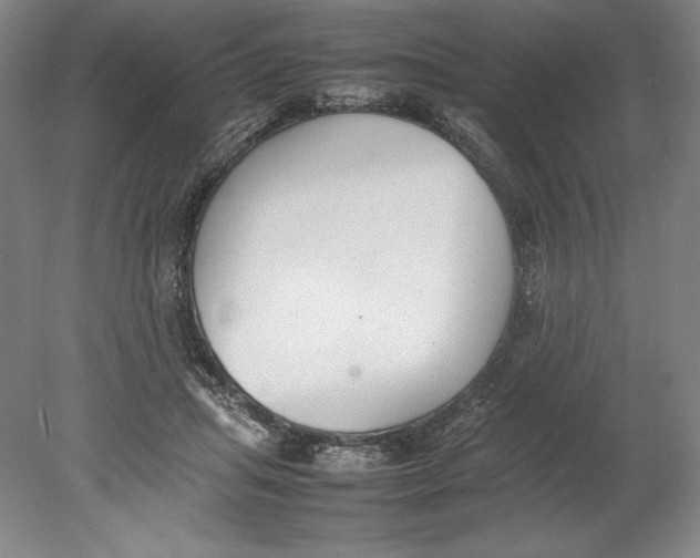 X0000080780455200701051332